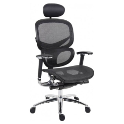 NICER INTERIOR Multi-Function Ergonomic Mesh Chair Comfort Highly Adjustabl Desk Task Office Chair With Synchro Mechnism Control, " Headrest