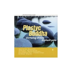 JUST4GAMES Throwing Stones In A Placid Pool [Audio CD] Plastyc Buddha