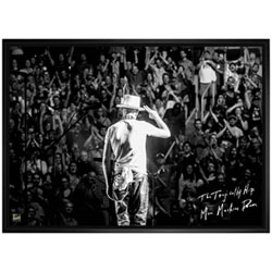 Frameworth The Tragically Hip: Gord Downie Salute Framed Canvas (22x31")
