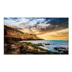 SAMSUNG Qe55T Series 55" 4K Ultra HD 8 Ms Led Display - (Lh55Qetelgcxgo)