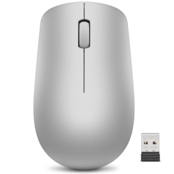 LENOVO 530 Wireless Mouse (Platinum Grey)