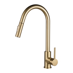 AGUACANADA Brushed Brass (Gold) Pull Out Kitchen Faucet & Dual Spray