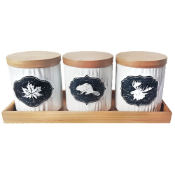 CANADIANA Porcelain Spice Storage Jar Set W/ Bamboo Tray & Lids