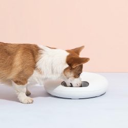 LIVINGBASICS Automatic Cat Feeder With Timer, 6 Compartments Bpa Free Dry Wet Food Dispenser for Cats And Small Dog Pet