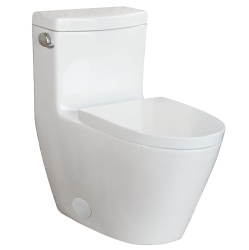 AGUA CANADA - Totem - High Efficiency One Piece Toilet - Csa, Cupc & Watersense Certification. In White