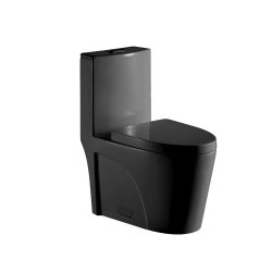 AGUA CANADA - Tyrone-Bk - High Efficiency One Piece Matte Toilet In Black