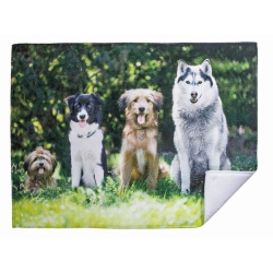 MAISON CONCEPTS INC Microfibre Drying Mat (Furry Pals) - Set Of 2