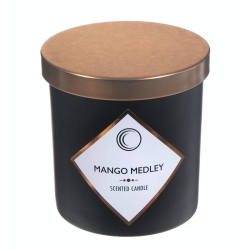 MAISON CONCEPTS INC 7OZ Matte Scented Candle With Lid (Mango Medley) - Set Of 2 In Black