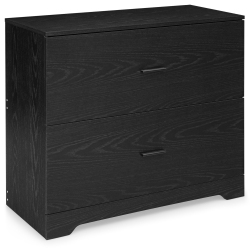 COSTWAY 2-Drawer Lateral File Cabinet W/adjustable Bars for Home Office In Black
