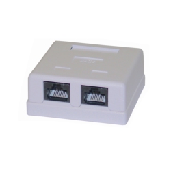 DIGIWAVE Cat6 Dual Baseboard Jack