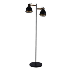 XTRICITY - 2 Headed Floor Light, 5 'height, From The Virginia Collection In Black