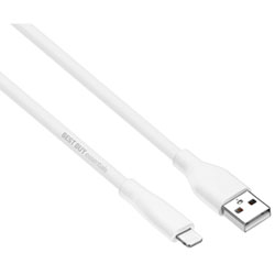 Best Buy Essentials 1.52m (5 ft.) Lightning to USB Cable