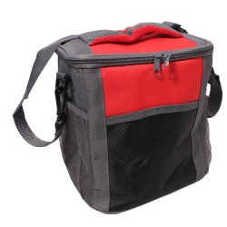 INNOVATION NATURE - Insulated Cooler Bag, 22X16X24Cm, Contains 12 Cans And Gray In Red