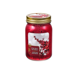 MAISON CONCEPTS 9.2OZ Electroplated Mason Jar Candle (Winter Berry)