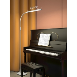 ECPRO Led Floor Lamp 80 Led Beads, Magnetic Remote Control, Full Spectrum Led, Eye-Caring Adjustable Gooseneck Floor Lighting for Bedroom Piano