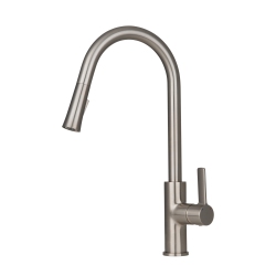 ANCONA Aria Pull-Down Single Handle Dual Spray Faucet In Brushed Nickel
