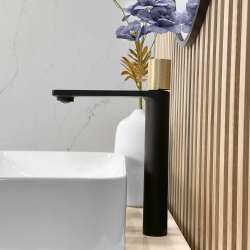 STYLISH Nessa Single Handle 12 1/2" Matte With Gold Vessel Bathroom Faucet B-122Ng In Black