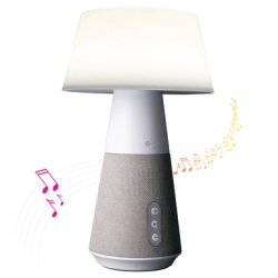 OTTLITE TECHNOLOGIES Ottlite Entertain Led Speaker Lamp