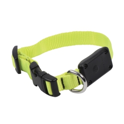 NITEIZE Nite Ize Nitedog Rechargeable Led Collar - L - Lime/green Led
