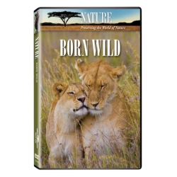 Nature: Born Wild - DVD