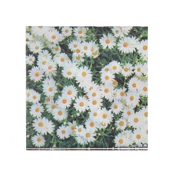 MAISON CONCEPTS 20 Pack Luncheon 3 Ply Napkin (Daisy) - Set Of 6