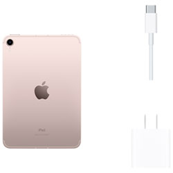 Apple iPad mini 8.3