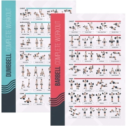 POSTERMATE Fitmate 8 Pack Workout Exercise Poster Bundle - Dumbbell, Barbell, Bodyweight, Yoga, Stretching, Stability Ball, Resistance Bands