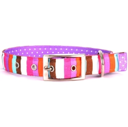 Uptown dog sale collars