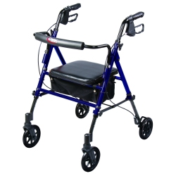 CAREX Step 'n Rest Rolling Walker