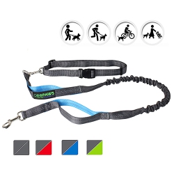 JESPET Hands-Free Bungee Leash In Blue