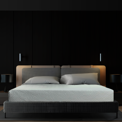 VISCOLOGIC Ashley Plus - - Cool Gel Memory Foam Mattress (Queen)