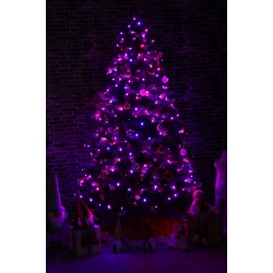 HI-LINE GIFT LTD Multi-Function Timed String Lights - 100 RGB Leds With Remote