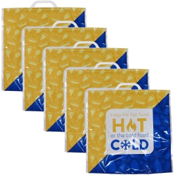PLANET E Foil Hot & Cold Grocery Bag Pack Of 5