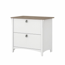 BUSH Furniture Salinas 2 Drawer File Cabinet In White/shiplap In Gray