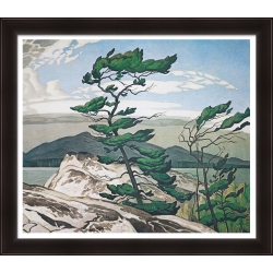 AUTOGRAPH AUTHENTIC A.j. Casson Group Of Seven "white Pine" Framed Art Print
