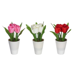 MAISON CONCEPTS Artificial Tulips In Plastic Pot (Asstd) - Set Of 3 In White