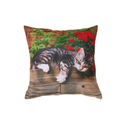 MAISON CONCEPTS Polyester Digital Print Cushion (Lazy Cat) (18 X 18) - Set Of 2