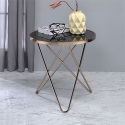 BOWERY HILL Metal End Table In Glass And Champagne In Black