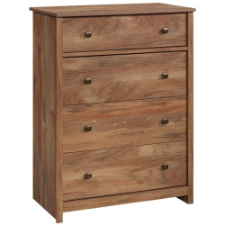 PEMBERLY ROW Contemporary 4 Drawer Wooden Chest In Sindoori In Mango