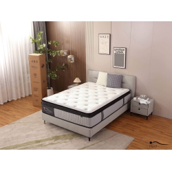 REST THERAPY 14 Inch Euphoria Cooling Pillow Top Plush Hybrid Pocket Coil Mattress With Cool Gel Memory Foam (Queen)