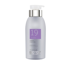 BIOTOP 19 Pro Shampoo 330Ml In Silver