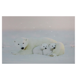 NORTHLIGHT Fiber Optic Lighted Mama Polar Bear And Cubs Canvas Wall Art 23.5" X 15.5