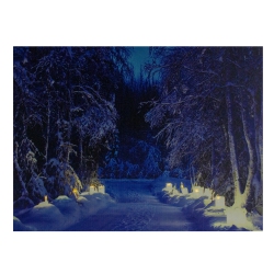NORTHLIGHT Led Lighted Nighttime In The Woods Winter Scene Canvas Wall Art 15.75