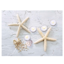 NORTHLIGHT Led Lighted Starfish, Seashell And Tea Light Candles Canvas Wall Art 15.75