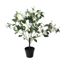 NORTHLIGHT 32.5" And Black Potted Artificial Lily Magnolia Flowering Tree In White