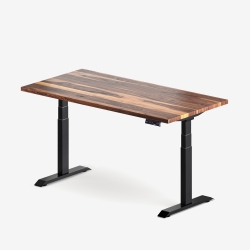 BUROTIC Solid Wood Sit-Stand Desk – Electric Height Adjustable With Dual Motor – Solid Walnut Top – Frame – 24" X 48" In Black