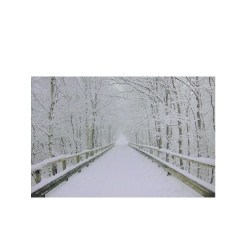 NORTHLIGHT Small Fiber Optic Lighted Winter Wooden Bridge Canvas Wall Art 12" X 15.75