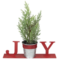 NORTHLIGHT 10" "joy" Potted Faux Pine In Metal Planter Christmas Tabletop Plaque In Red