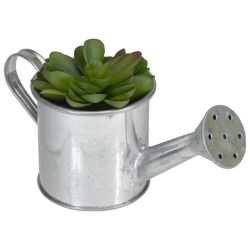 NORTHLIGHT 6" Potted Artificial Mini Echeveria Succulent With Watering Can