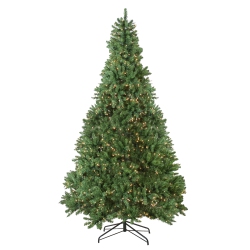 NORTHLIGHT 9.5' Pre-Lit Full Buffalo Fir Artificial Christmas Tree - Clear Lights